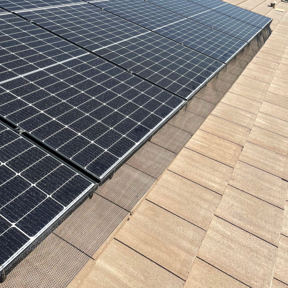 Solar Panel Pigeon Fencing