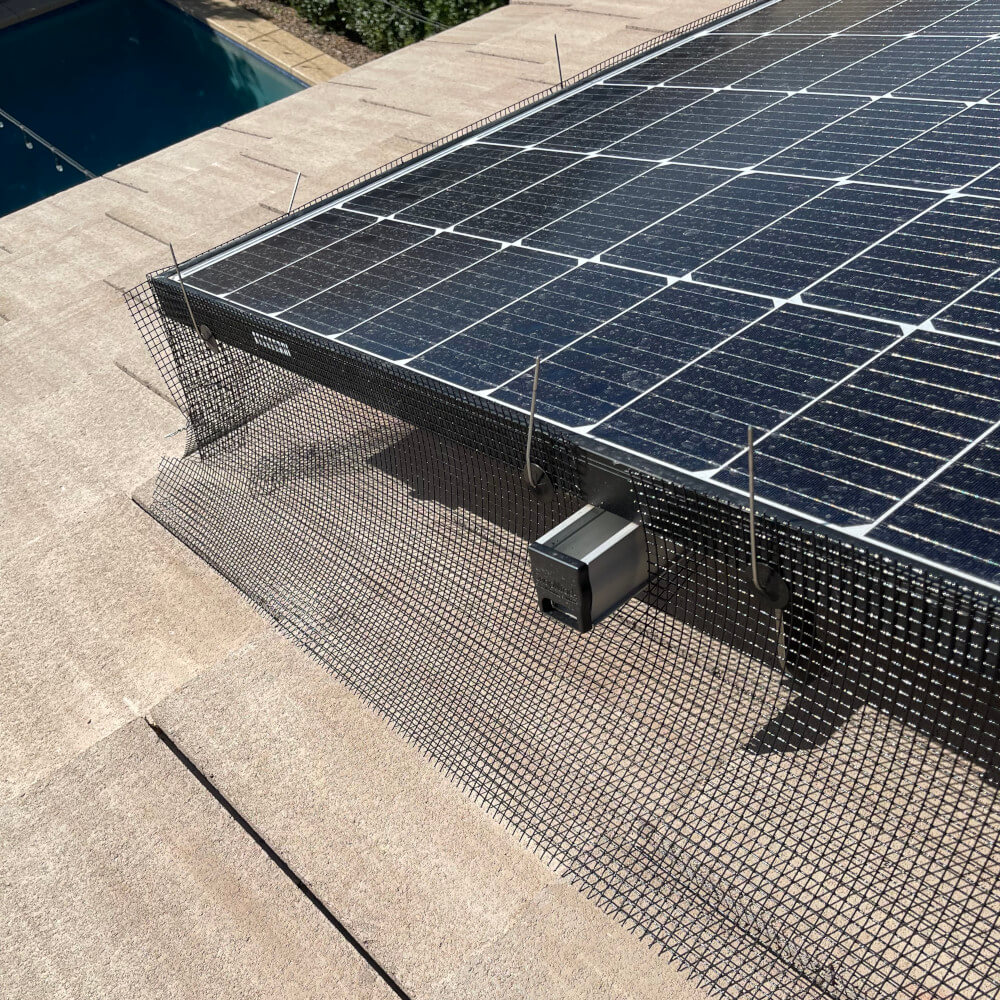 Solar Panel Pigeon Proofing