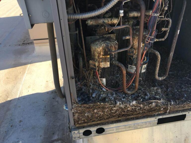 Pigeon Infested AC Unit